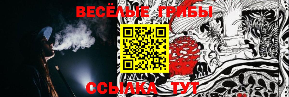 Видное  Галлюциногенные грибы прущие грибы  Вход с VPN 